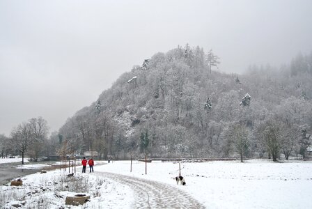 Dreisam frosty forest photo