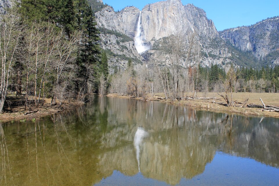 Park california national photo