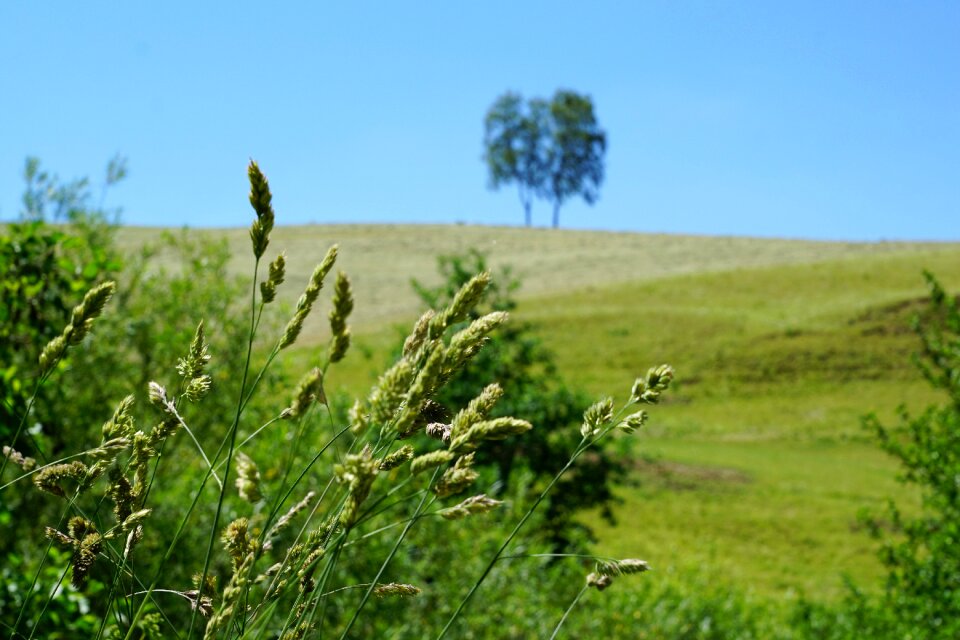 Rest nature landscape