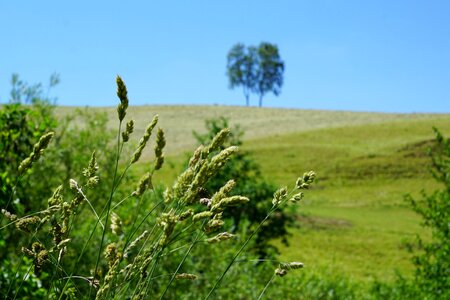 Rest nature landscape
