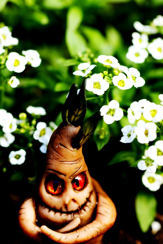 Flowers summer garden