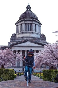 Spring bloom blossom