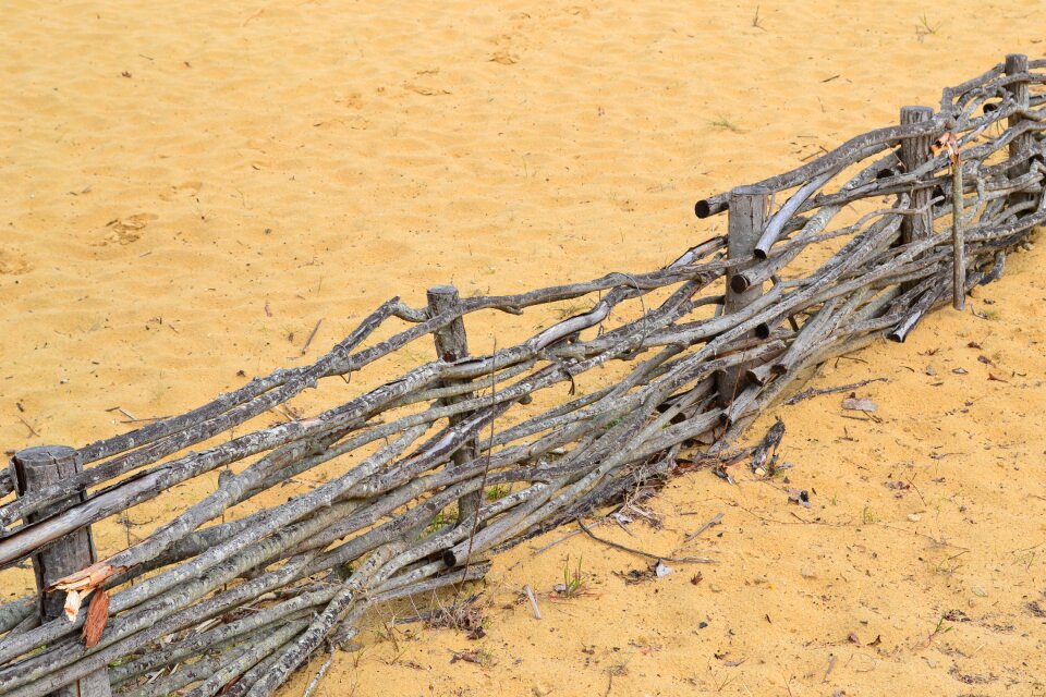 Sandy beach closing wood