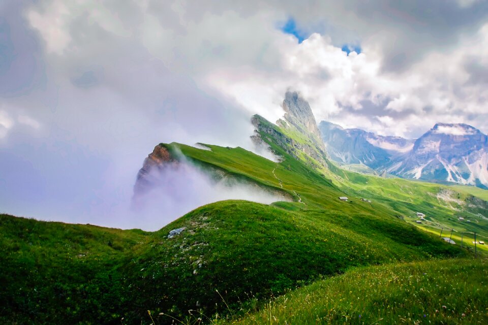 Clouds grass plants