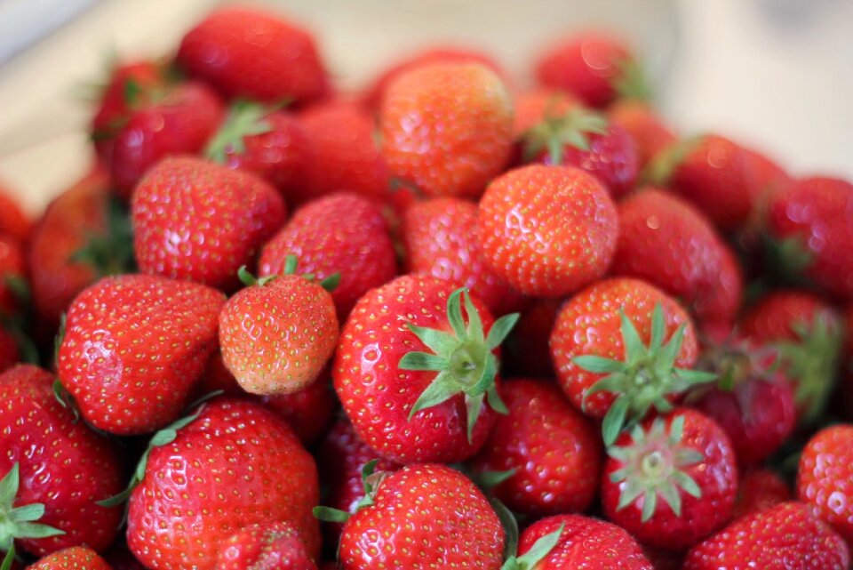 Fresh berries dessert red