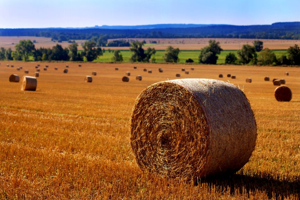 Herbstfeld harvest straw role