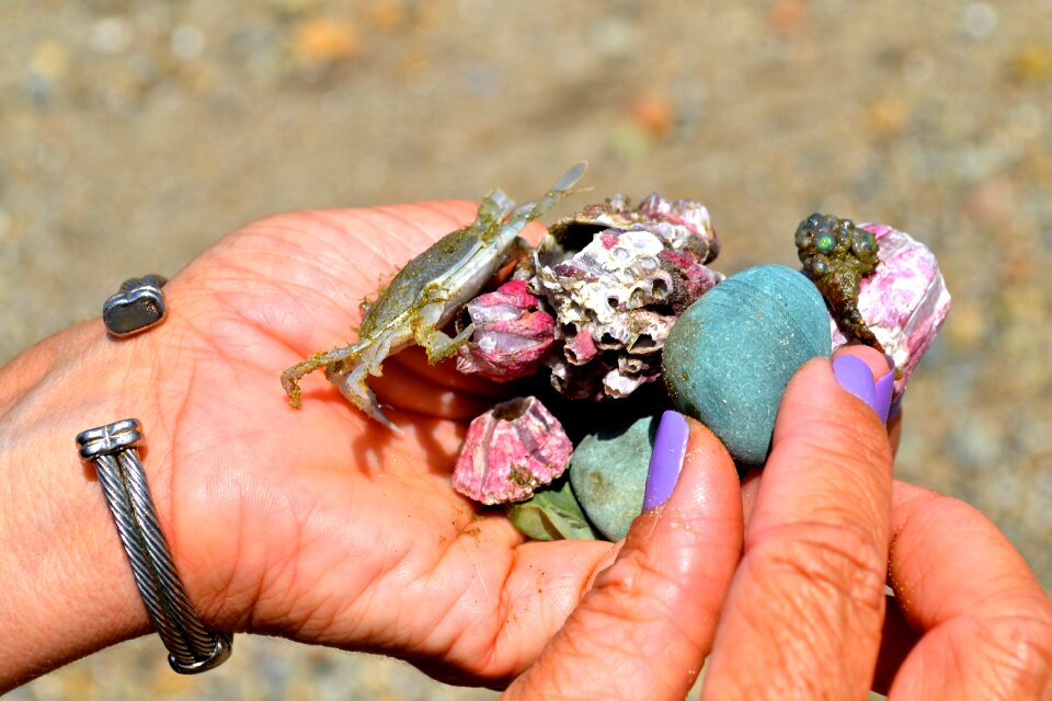 Treasures puerto lopez ecuador