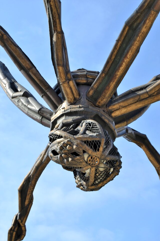 Guggenheim bilbao giant spider