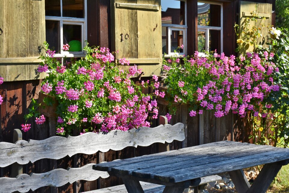 Wooden bench bank swabia