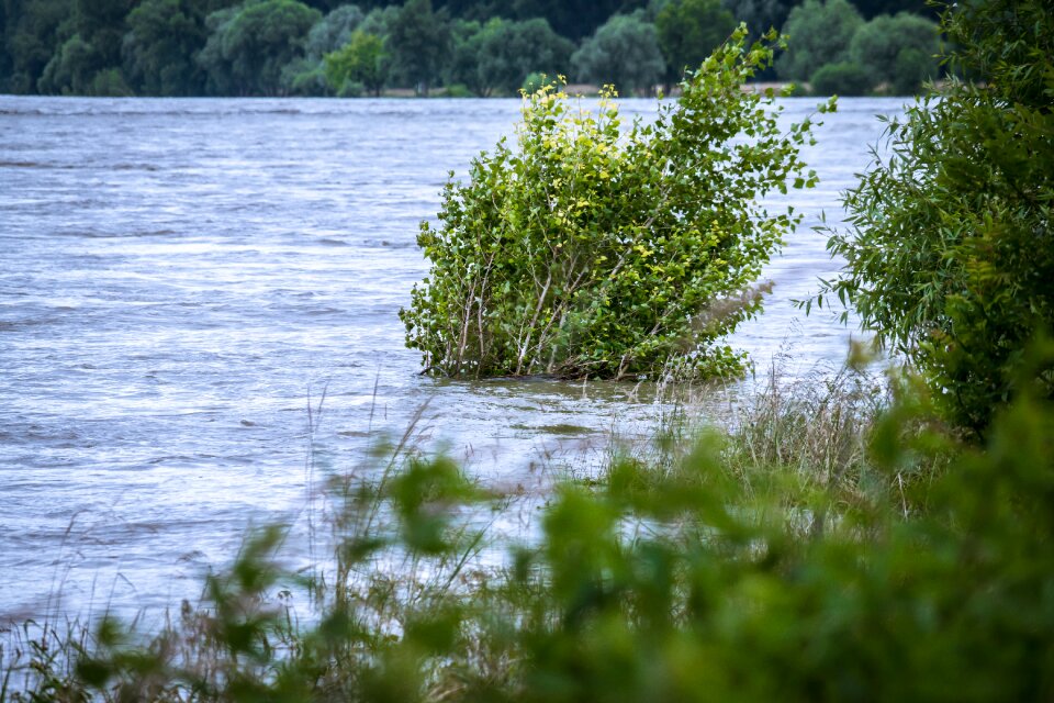 Current rhine flood