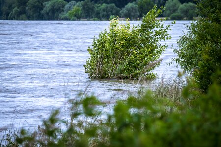 Current rhine flood