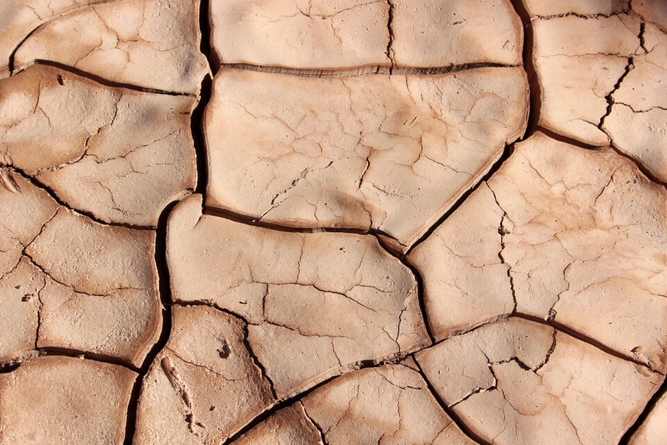 Surface cracked mud
