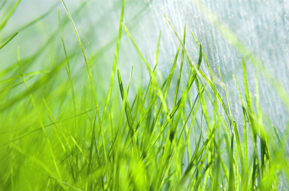 Drops green water