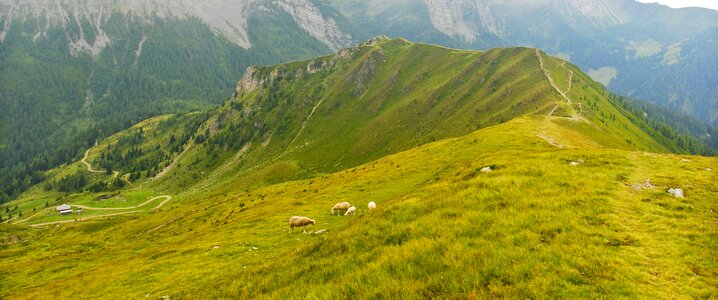 Goldeck carinthia nature