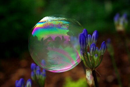Float colorful make soap bubbles photo