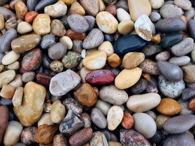 Beach shore nature