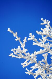 Winter winter picture winter photography