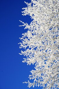 Winter winter picture winter photography