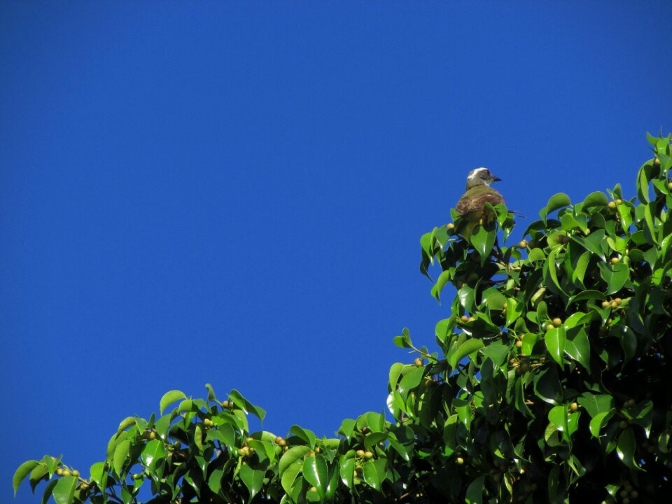 Sky natural wonders blue