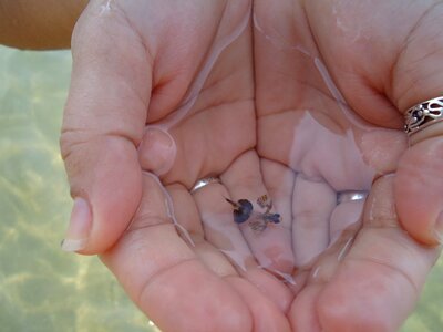 M transparent water water