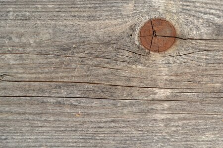 Plank texture cracks