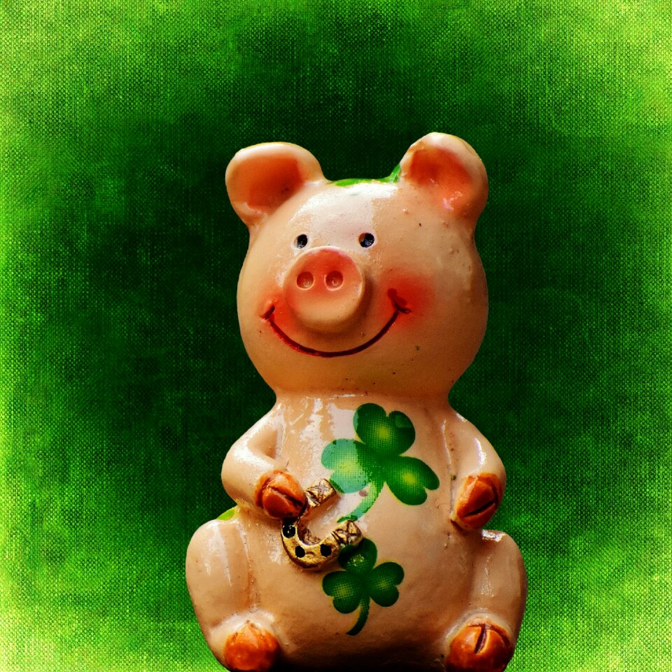 Cute lucky charm sow