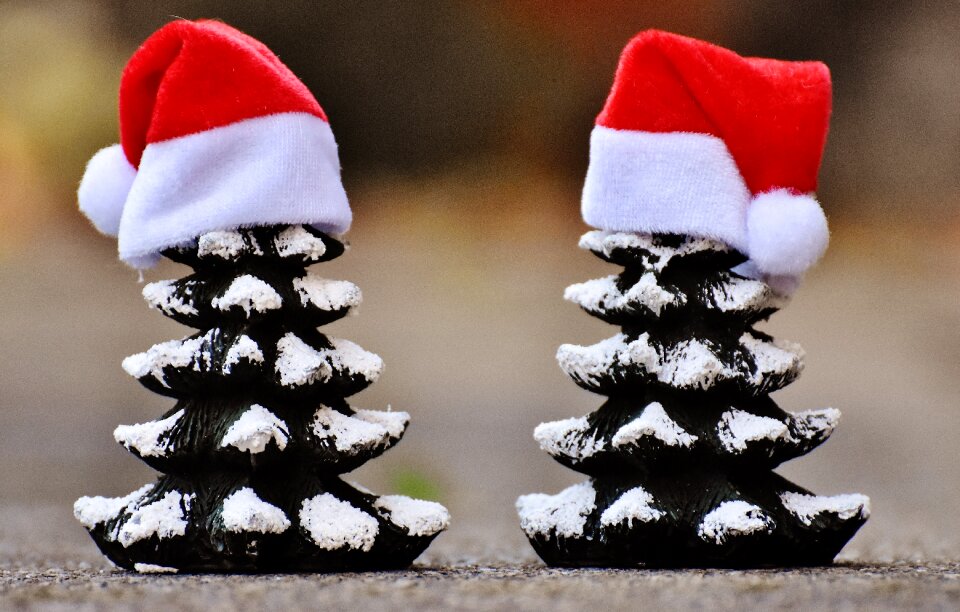Funny santa hat christmas time