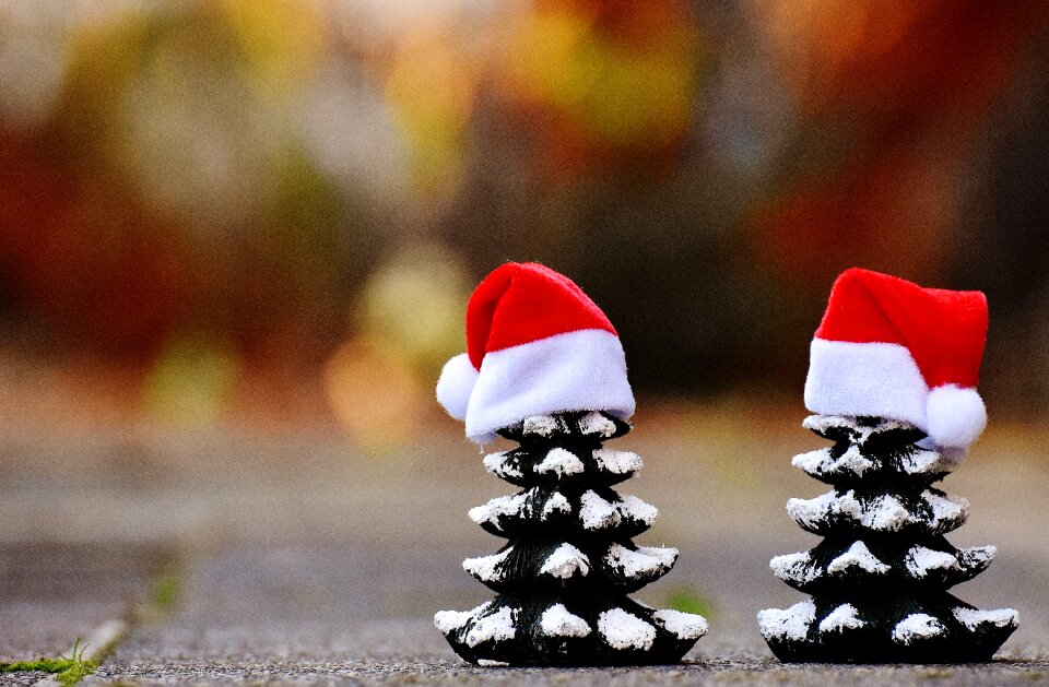 Funny santa hat christmas time
