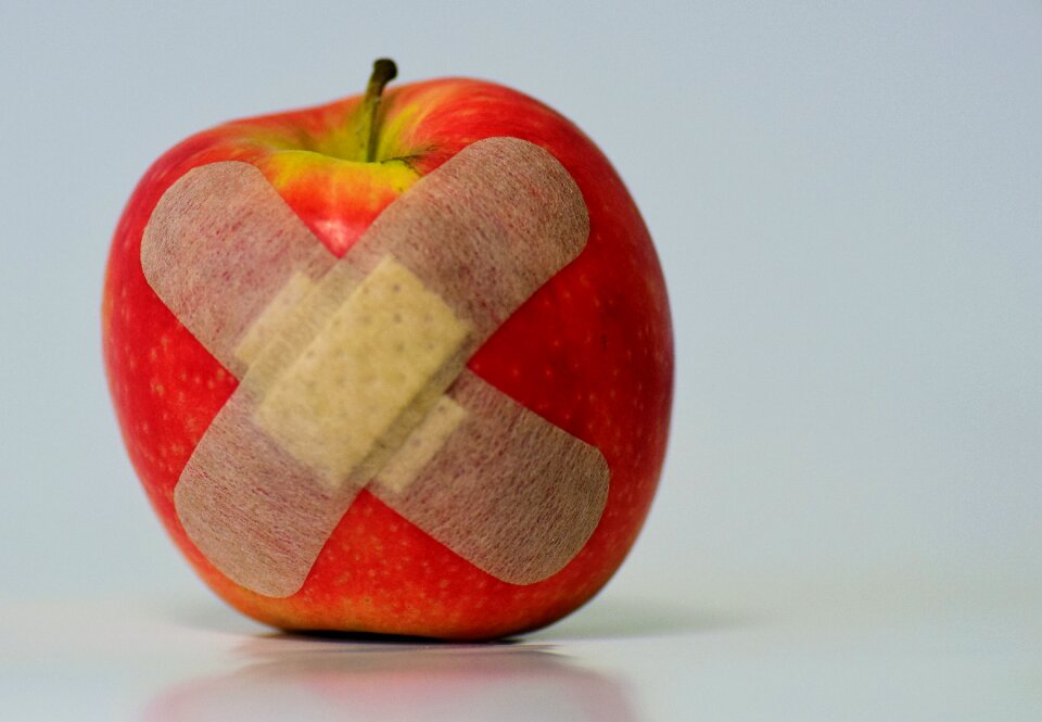 Association fruit food