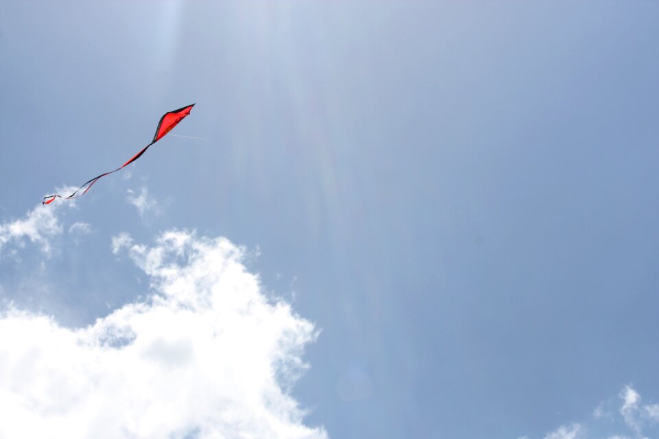 Summer freedom wind