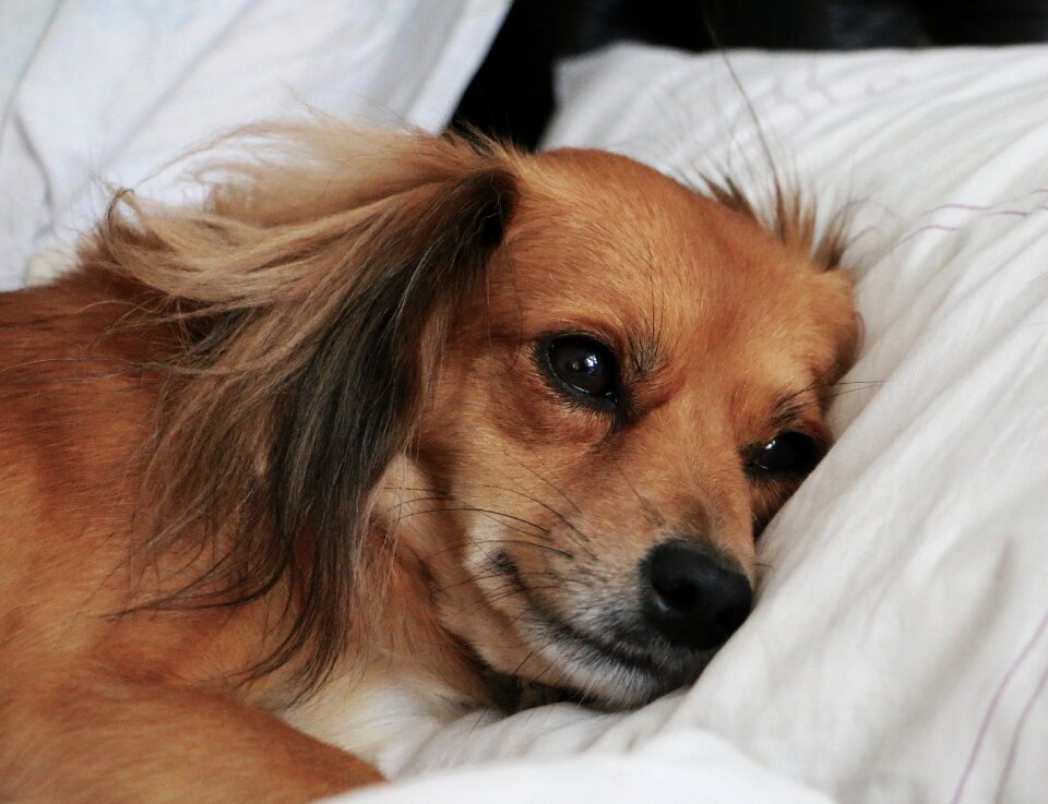 Lying thoughtful look