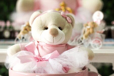 Toy female rosa
