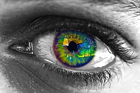 Pupil female human