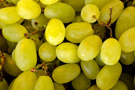 Left untreated market purchasing