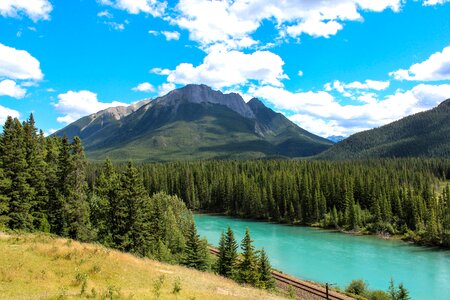 Canada forest mountain