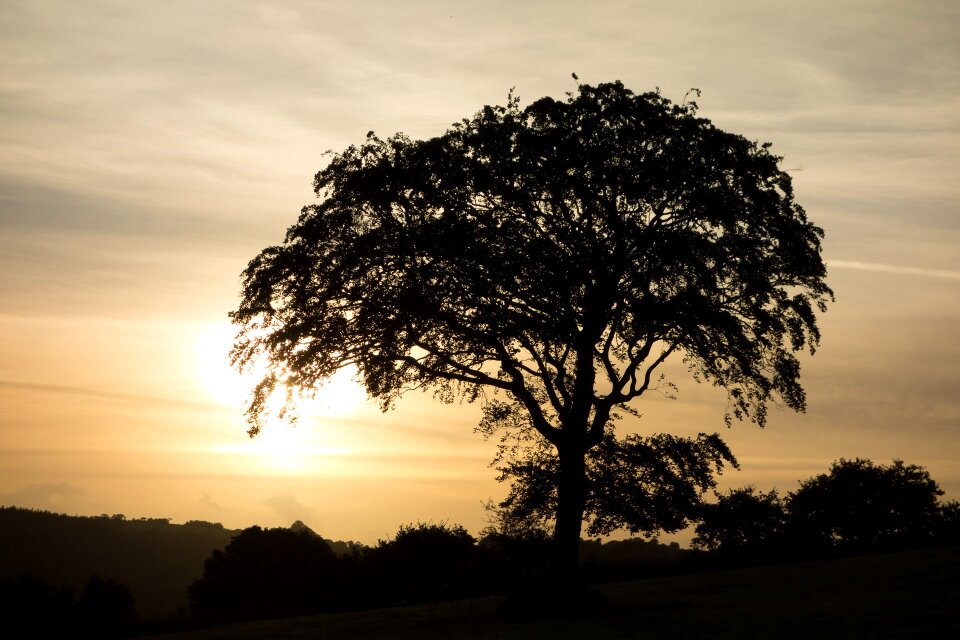 Sunset silhouette evening