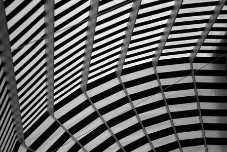 Fabric stripes tissue