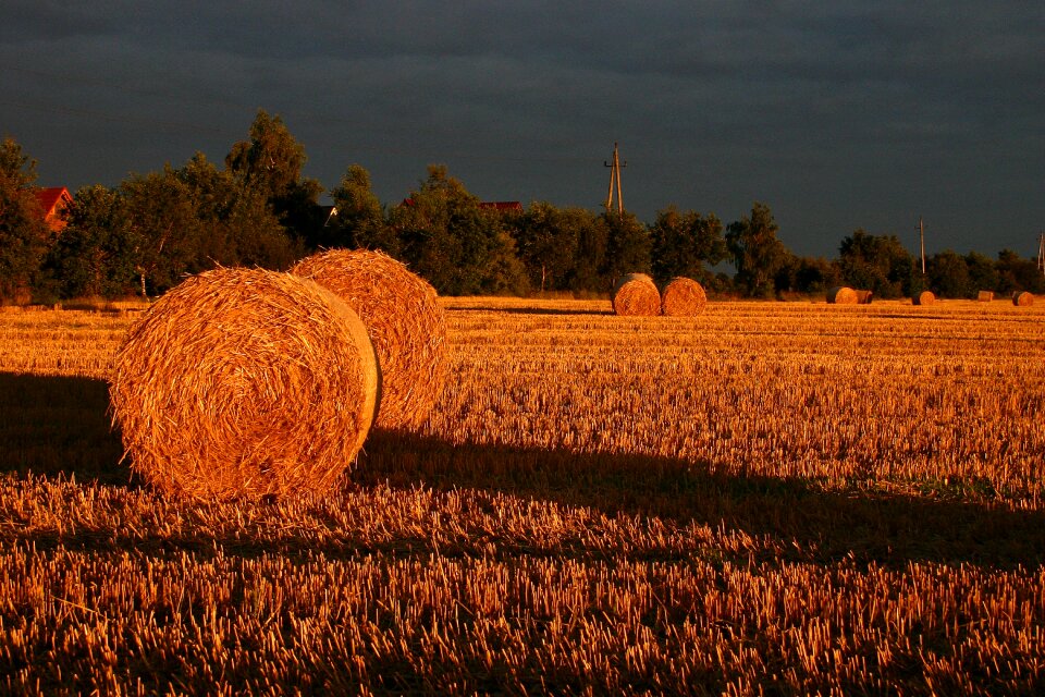 Sunset landscape autumn