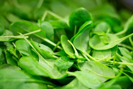 Eat fresh healthy