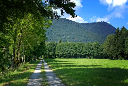 Nature walk hiking photo