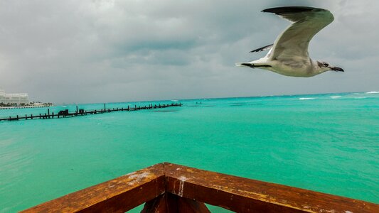 Water ocean sea water