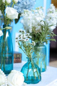 Bottles roses carnation