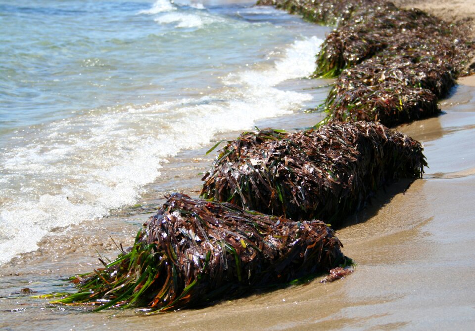 Mediterranean beach summer