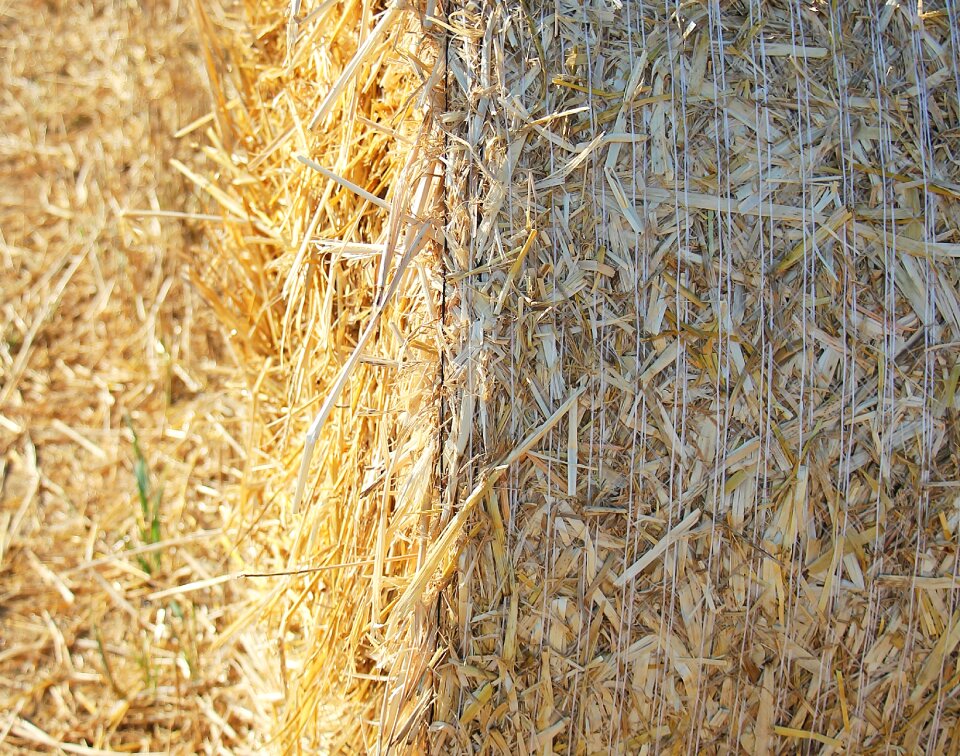 Agriculture round bales field