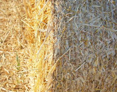 Agriculture round bales field