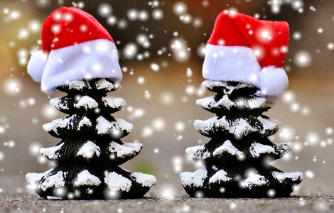 Trees funny santa hat