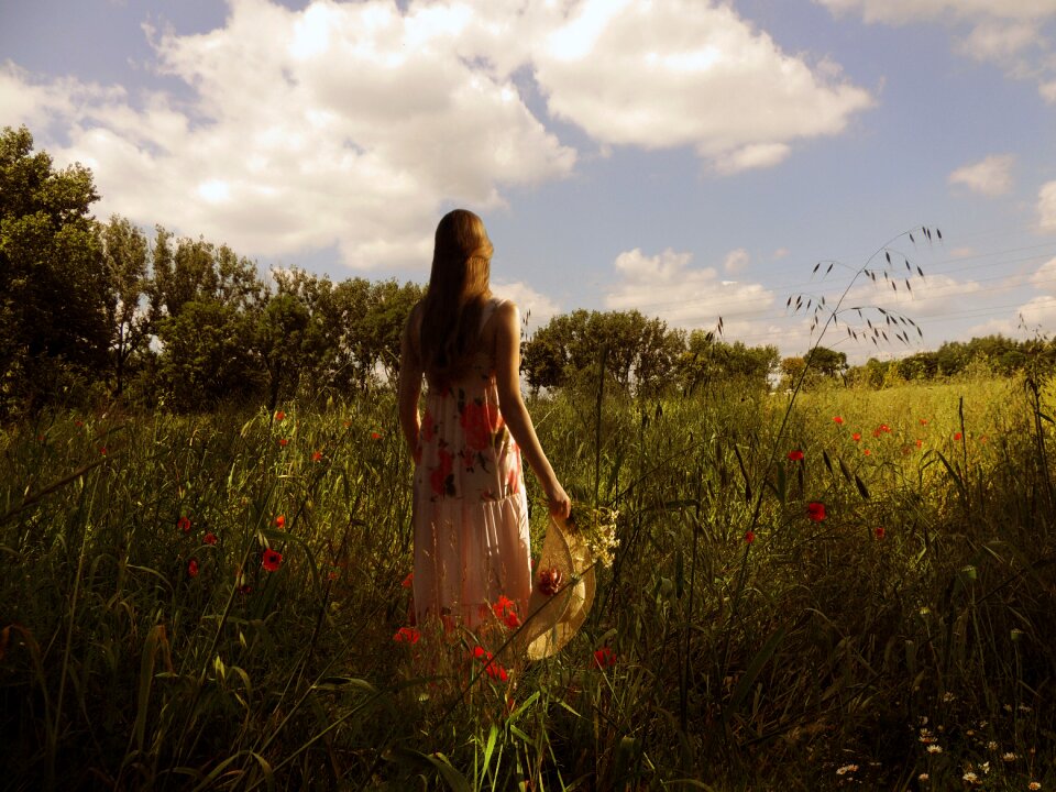 Green tree meadow