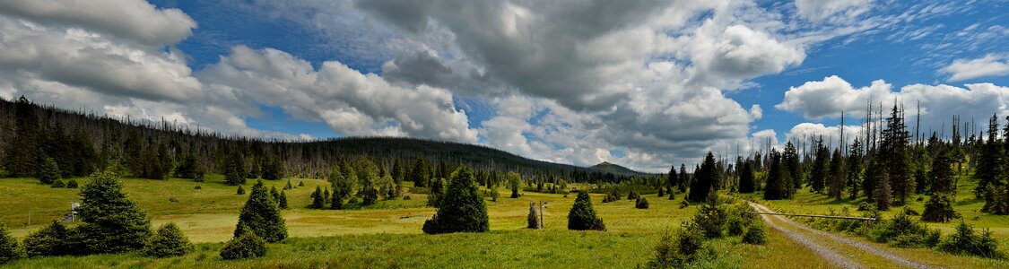 Landscape green path photo