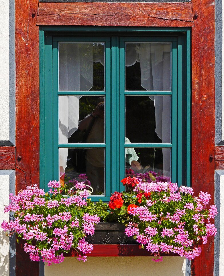 Window sill fachwerkhaus balcony plants photo