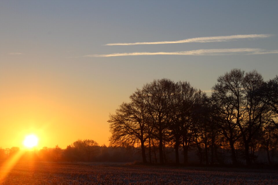 Tree landscape morgenstimmung